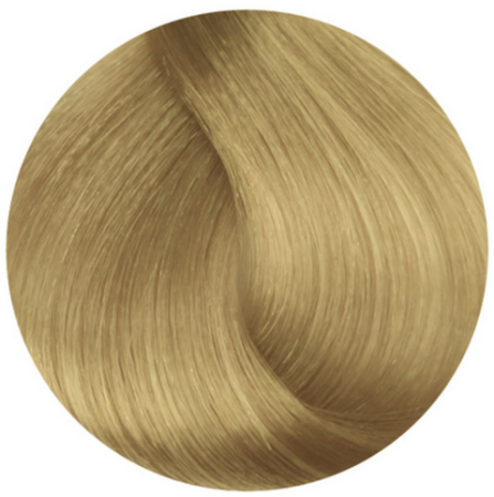 Стойкая профессиональная краска для волос - Goldwell Topchic Hair Color Coloration 11N (Белокурый натуральный)